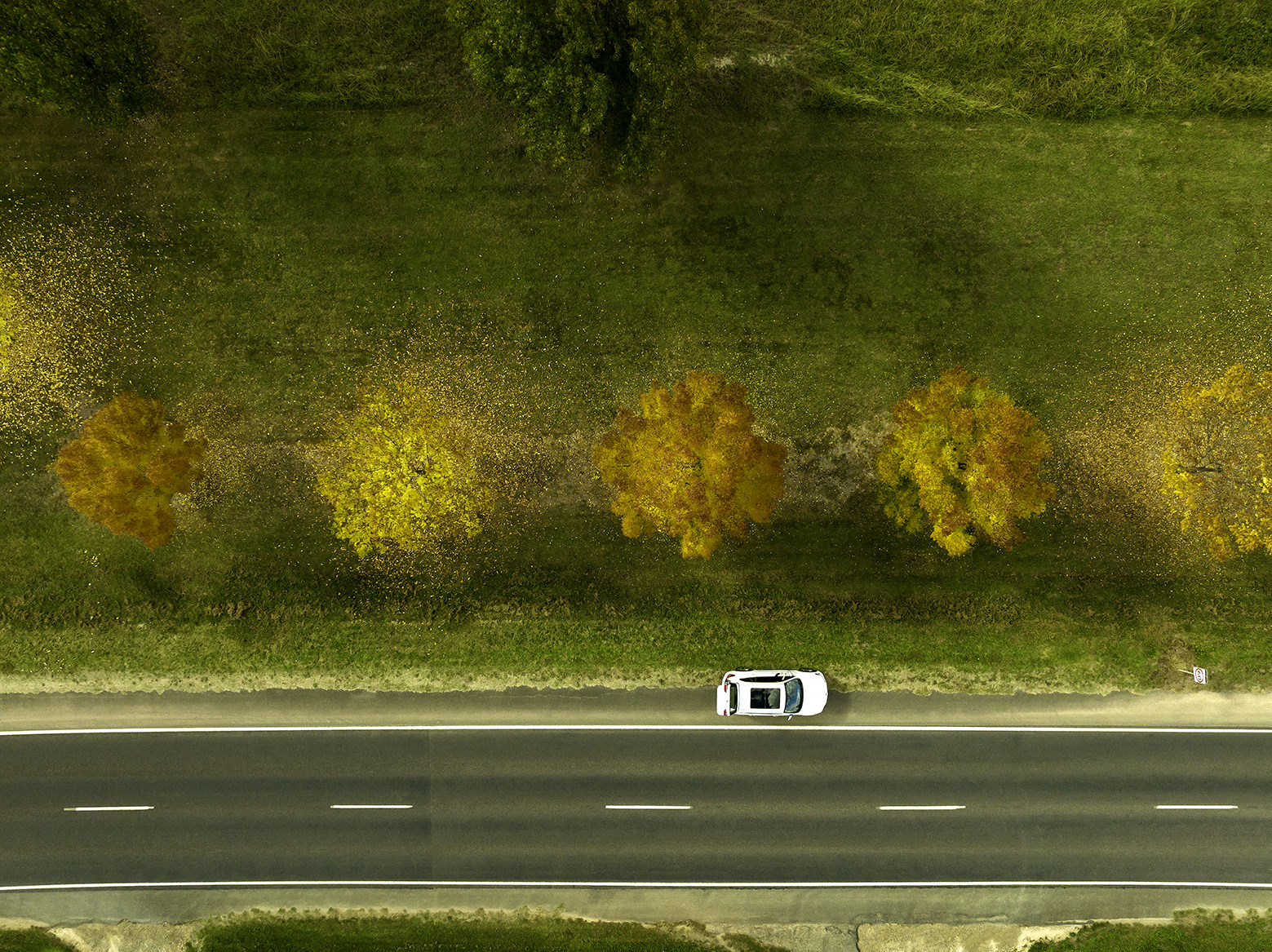 Aerial photography of car drives through road next to trees