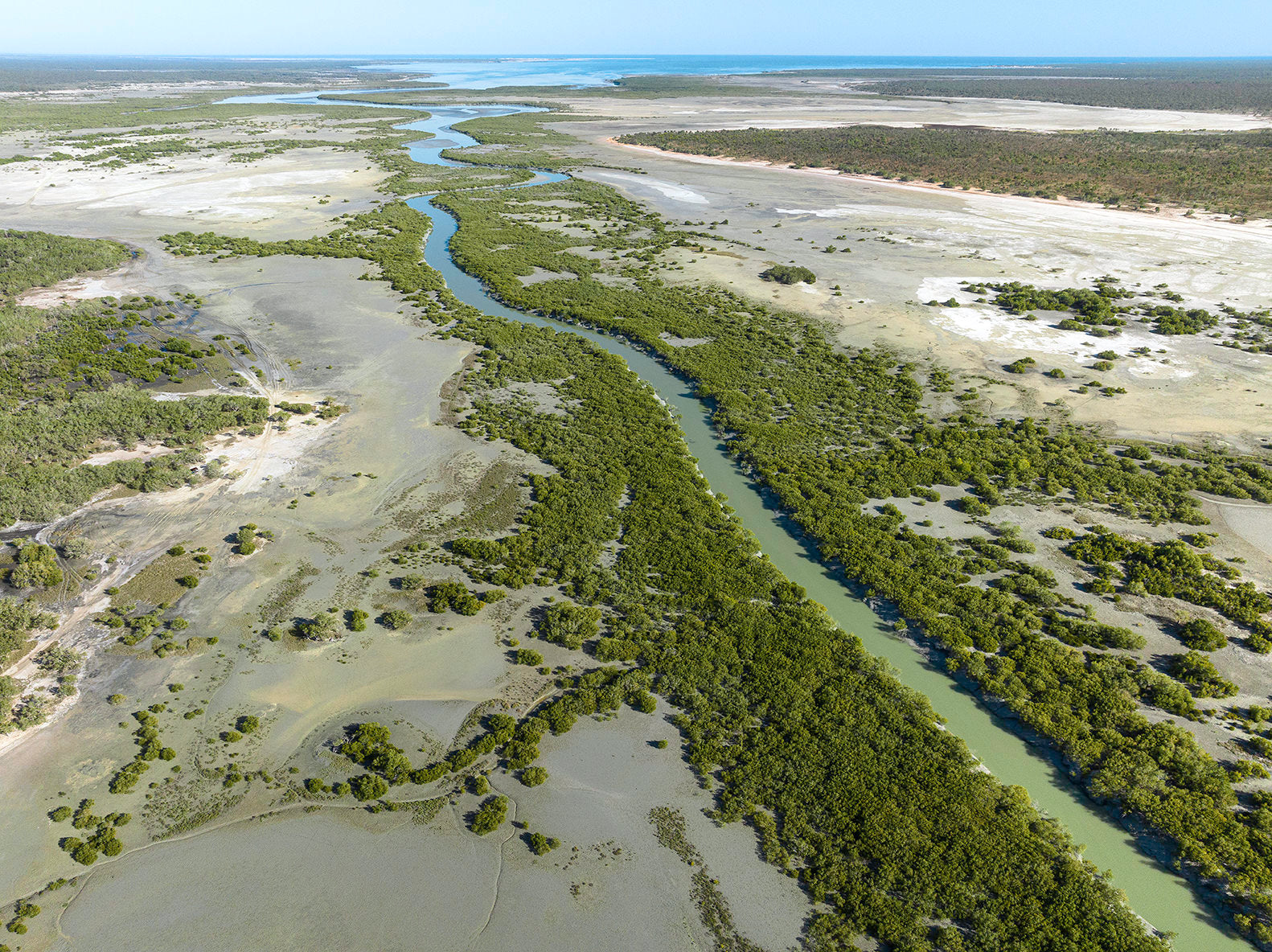 Aerial photography of beagle bay river and forest