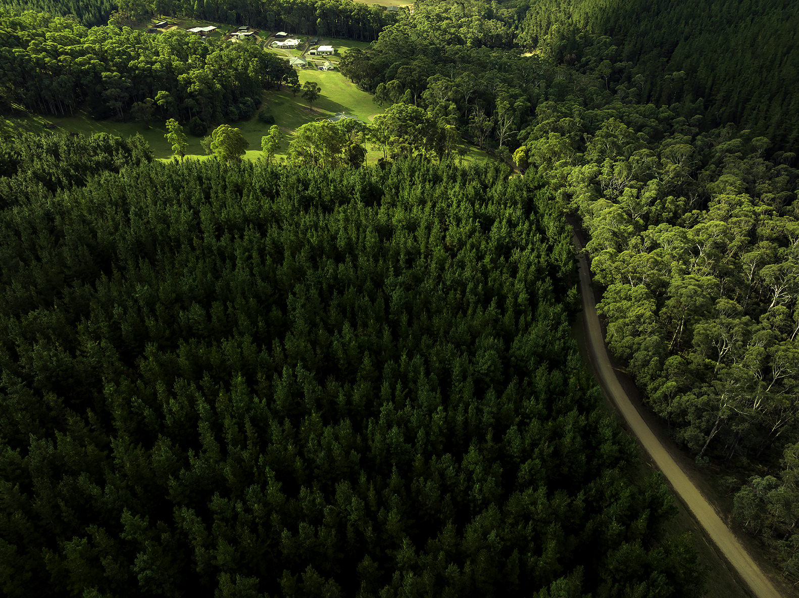 Aerial photography of road in the middle of forest towards sanctuary