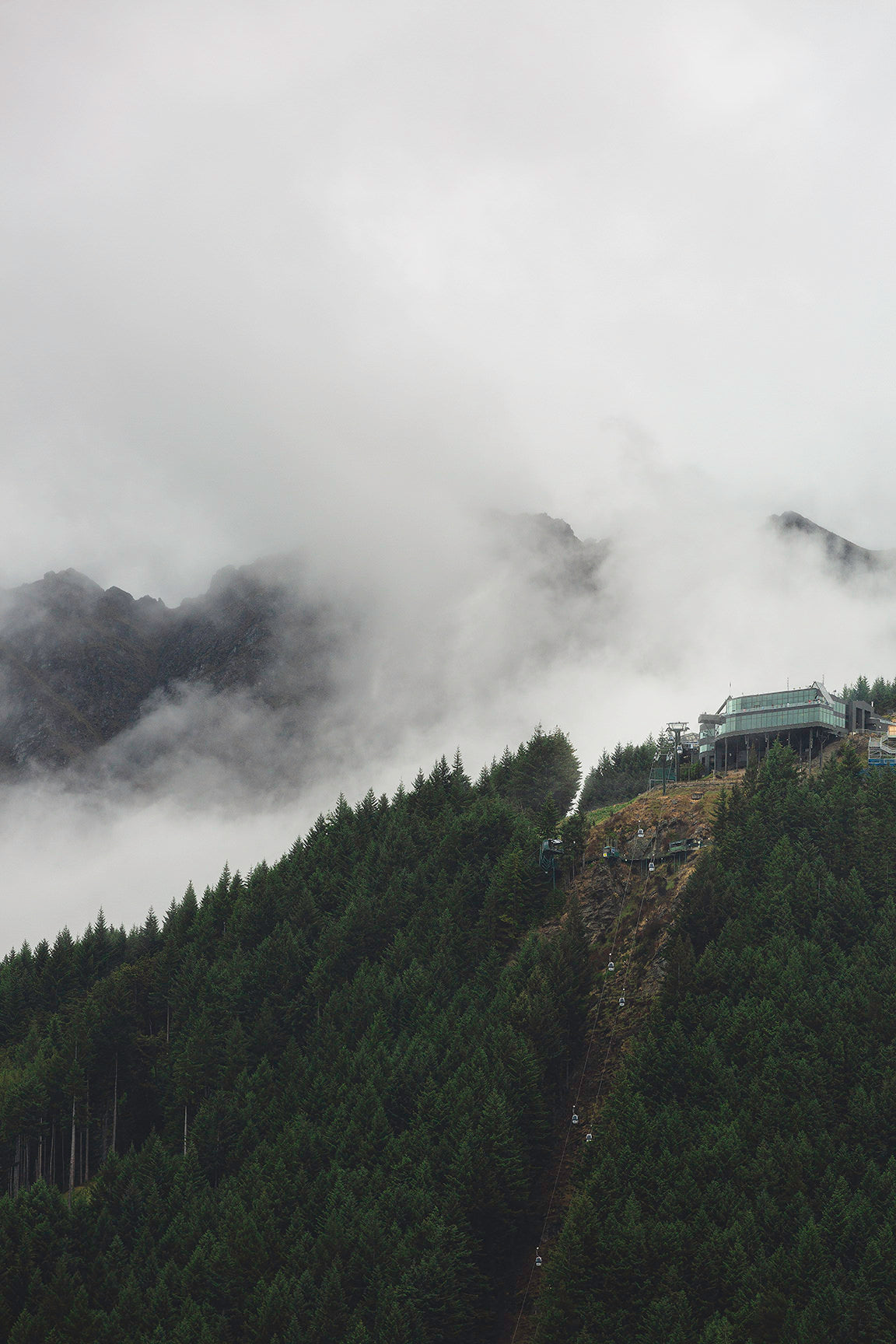 Nature photography of forest, mountain and fog